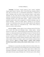 Ugdymo samprata 2 puslapis