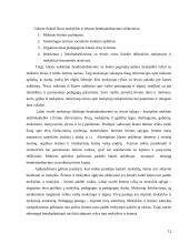 Ugdymo samprata 12 puslapis