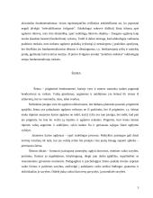 Ugdymo samprata 3 puslapis