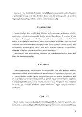 Ugdymo veiksnių įtaka vaiko socializacijos procese 4 puslapis