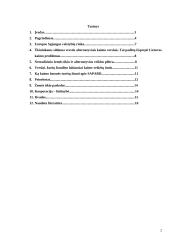 Ūkininkavimo diversifikacijos (įvairinimo) žemės ūkyje samprata, esmė ir veiksniai 2 puslapis