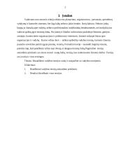 Vadybos teorijos ir vadybos teorijų raida 2 puslapis