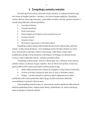 Vadybos teorijos ir vadybos teorijų raida 5 puslapis