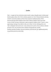 Vadovavimas pamokoje klasėje 2 puslapis