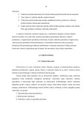Vadovo vaidmuo įmonėje 11 puslapis
