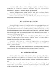 Vadovo vaidmuo įmonėje 17 puslapis