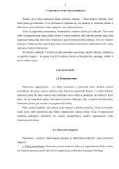 Vadovo vaidmuo įmonėje 4 puslapis