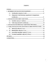 Vaiko socializacija globos institucijoje 2 puslapis