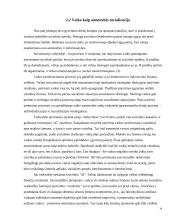 Vaiko socializacija globos institucijoje 14 puslapis