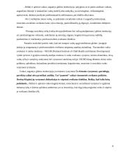 Vaiko socializacija globos institucijoje 18 puslapis