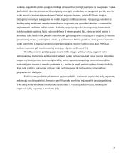 Vaiko socializacija globos institucijoje 20 puslapis