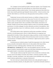 Vaiko socializacija globos institucijoje 3 puslapis