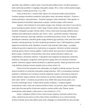 Vaiko socializacija globos institucijoje 4 puslapis