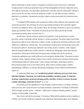 Vaiko socializacija globos institucijoje 7 puslapis