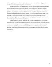 Vaiko socializacija globos institucijoje 10 puslapis