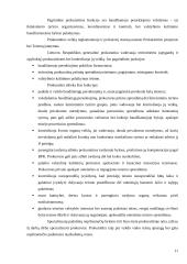 Vaiko teisių apsaugos institucijos 11 puslapis