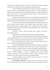 Vaiko teisių apsaugos institucijos 13 puslapis