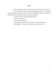 Vaiko teisių apsaugos institucijos 3 puslapis