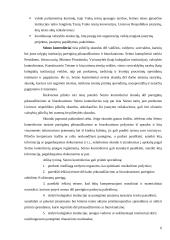 Vaiko teisių apsaugos institucijos 6 puslapis