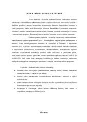 Vaiko ugdymas: šeimos ir ikimokyklinės įstaigos sąveika 11 puslapis