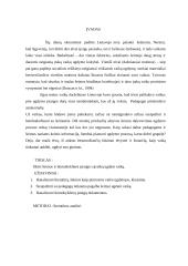 Vaiko ugdymas: šeimos ir ikimokyklinės įstaigos sąveika 3 puslapis