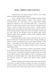 Vaiko ugdymas: šeimos ir ikimokyklinės įstaigos sąveika 4 puslapis