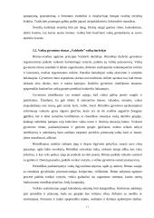 Vaikų darželių palyginimas: "Valdorfo" ir "Vėrinėlio" darželiai 11 puslapis