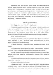 Vaikų darželių palyginimas: "Valdorfo" ir "Vėrinėlio" darželiai 10 puslapis