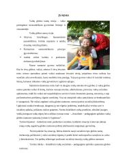 Vaikų globos namuose augantys vaikai 2 puslapis