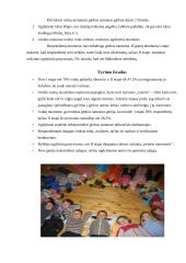 Vaikų globos namuose augantys vaikai 8 puslapis