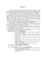 Vaikų rizikos grupės 2 puslapis