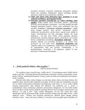 Vaikų rizikos grupės 11 puslapis