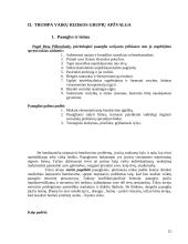 Vaikų rizikos grupės 13 puslapis