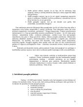 Vaikų rizikos grupės 14 puslapis