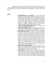 Vaikų rizikos grupės 20 puslapis