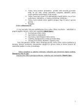 Vaikų rizikos grupės 3 puslapis