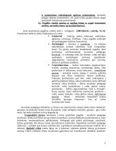 Vaikų rizikos grupės 7 puslapis