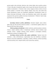 Vaikų specialieji mokymosi poreikiai 11 puslapis