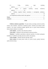 Vaikų specialieji mokymosi poreikiai 3 puslapis