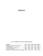 Vaikų teisių tarnybų veikla Lietuvoje ginant vaikų teises 13 puslapis