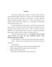 Vaikų teisių tarnybų veikla Lietuvoje ginant vaikų teises 3 puslapis