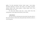 Vaikų teisių tarnybų veikla Lietuvoje ginant vaikų teises 9 puslapis