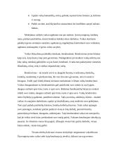 Vaikų ugdymo funkcijos 11 puslapis