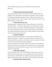 Vaikų ugdymo funkcijos 7 puslapis