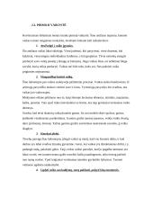 Vaikų ugdymo funkcijos 8 puslapis