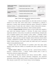 Valdymo informacinių sistemų klasifikacija 13 puslapis