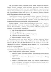 Valdymo informacinių sistemų klasifikacija 14 puslapis