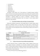 Valdymo informacinių sistemų klasifikacija 4 puslapis