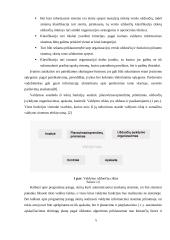 Valdymo informacinių sistemų klasifikacija 5 puslapis