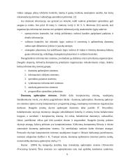 Valdymo informacinių sistemų klasifikacija 6 puslapis